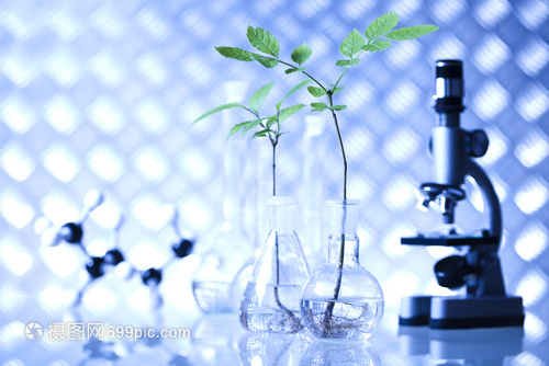 實驗室生物有機現代概念在生物研究中的核心應用